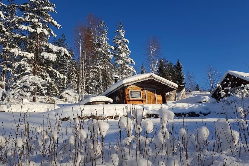 Egen Stuga Och Vedeldad Bastu Linghed Extérieur photo