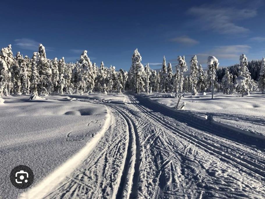 Egen Stuga Och Vedeldad Bastu Linghed Extérieur photo